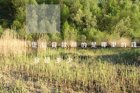 捷信貸款用的是哪里的錢(捷信貸款靠譜嗎?利息是多少?)