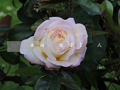 捷信貸款留了別人號碼
