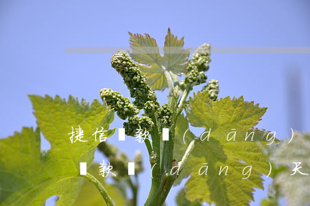 捷信貸款當(dāng)天還款可以嗎(捷信還款當(dāng)天晚上可以還款)