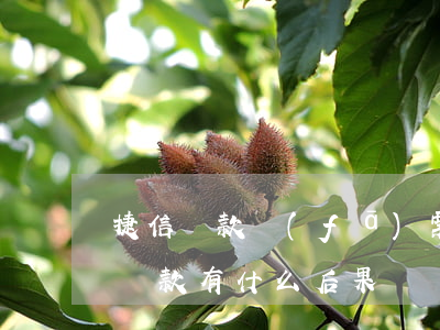 捷信貸款發(fā)票會不會影響(在捷信上貸款有什么后果)