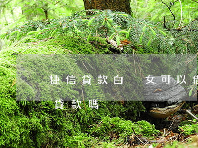 捷信貸款白戶女可以借嘛(捷信金融黑戶可以貸款嗎)