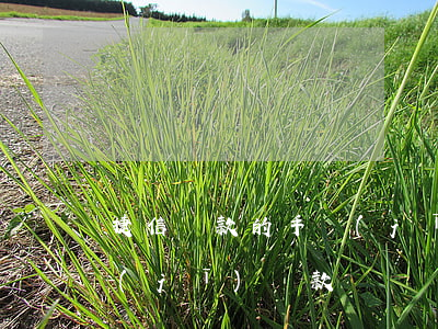 捷信貸款的手機(jī)有定位嗎(捷信手機(jī)貸款電話號碼是多少)