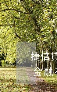 捷信貸款的錢可以提現(xiàn)嗎(捷信金融有額度可以取現(xiàn))