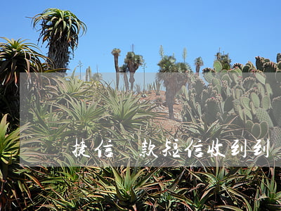 捷信貸款短信收到到賬了(捷信還款成功短信)