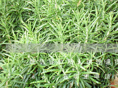 捷信貸款私人辦理還提點(diǎn)(捷信app在哪里申請(qǐng)貸款)