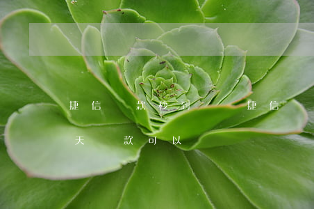 捷信貸款秒到賬嗎(捷信貸款當(dāng)天還款可以嗎)