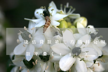 捷信貸款第三方勝科公司(捷信公司是什么貸款平臺(tái)?)