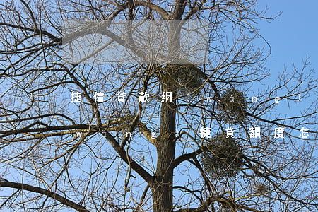 捷信貸款網(wǎng)上能出額度嗎(網(wǎng)捷貸額度怎么判定的)