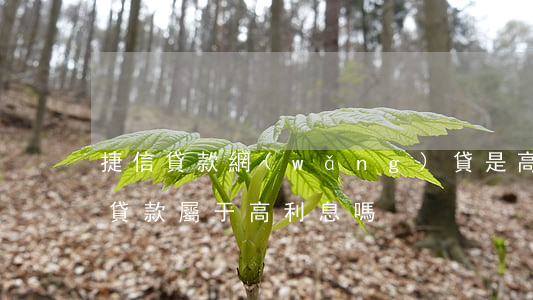 捷信貸款網(wǎng)貸是高利貸嗎(捷信貸款屬于高利息嗎)