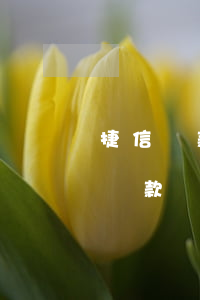 捷信貸款能在銀行查到嗎(怎么查自己的捷信貸款)