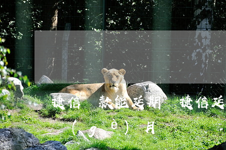 捷信貸款能延期嗎(捷信延期還款可以延期幾個(gè)月)