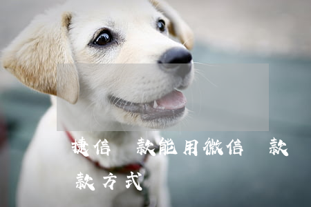 捷信貸款能用微信還款嗎(捷信app貸款還款方式)