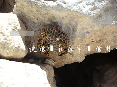 捷信貸款能申請信用卡嗎(捷信可以貸款嗎)