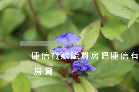捷信貸款能買房吧(捷信有貸款為什么辦不了房貸)