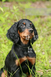 捷信貸款能關(guān)閉嗎(捷信金融貸款平臺下架了)