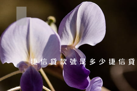 捷信貸款號是多少(捷信貸款號碼是多少)