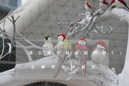捷信貸款被填寫的聯(lián)系人(捷信在哪里申請貸款)