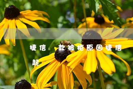 捷信貸款被拒原因(捷信貸款會(huì)抓起來嗎)