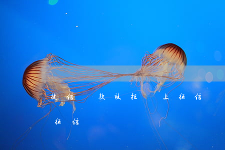 捷信貸款被拒會上征信嗎(捷信貸款會不會上征信)
