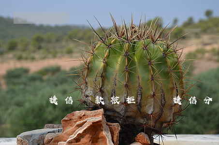 捷信貸款被拒記錄(捷信分期被拒了怎么辦)