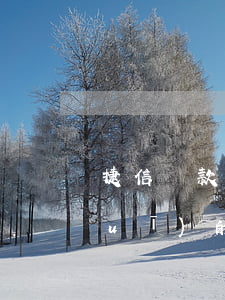 捷信貸款要刷臉嗎(捷信金融貸款是正規(guī)的嗎?)