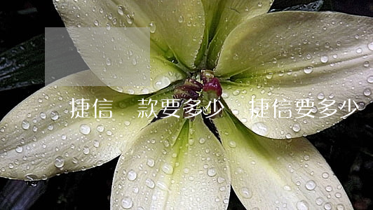 捷信貸款要多少歲(捷信要多少歲才能貸款)