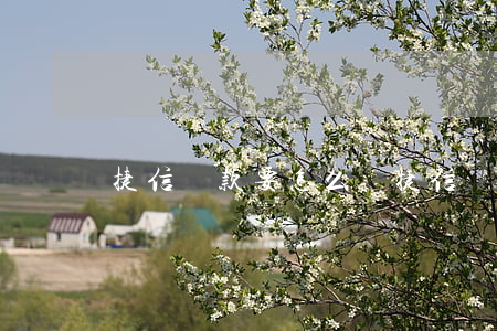 捷信貸款要怎么還(捷信貸款怎樣一次還清)