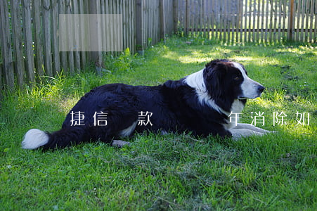 捷信貸款記錄幾年消除(如何處理捷信貸款)