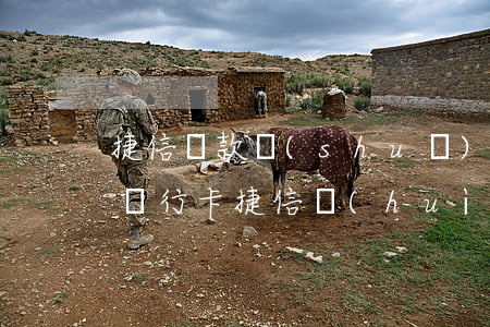 捷信貸款說(shuō)要凍結(jié)銀行卡(捷信會(huì)凍結(jié)信用卡嗎)