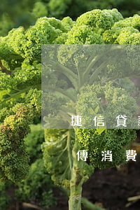 捷信貸款讓上傳消費(fèi)憑證(捷信上傳消費(fèi)憑證為什么顯示無法獲取信息)