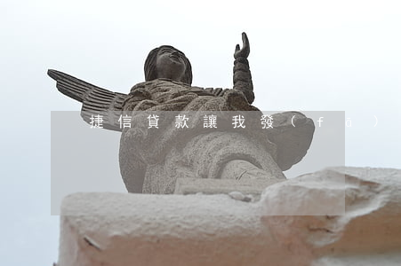 捷信貸款讓我發(fā)發(fā)票憑證