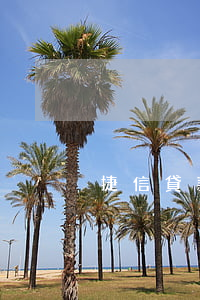 捷信貸款買個手機(jī)