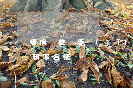 捷信貸款買手機(jī)要利息嗎(捷信貸款利率合法嗎)