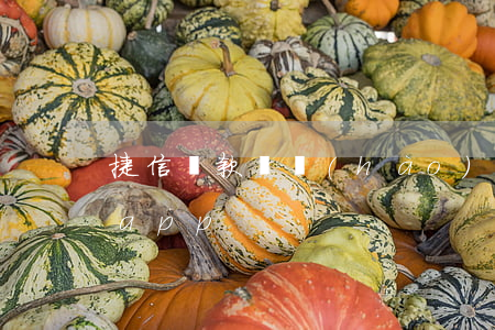 捷信貸款賬號(hào)是什么軟件(捷信貸app)