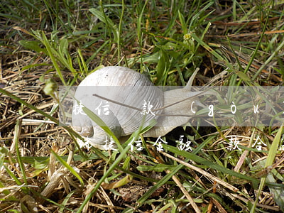 捷信貸款購(gòu)機(jī)有哪些弊端(捷信金融貸款合法嗎)