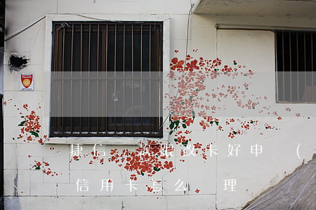 捷信貸款跟改卡好申請(qǐng)表(捷信信用卡怎么辦理)