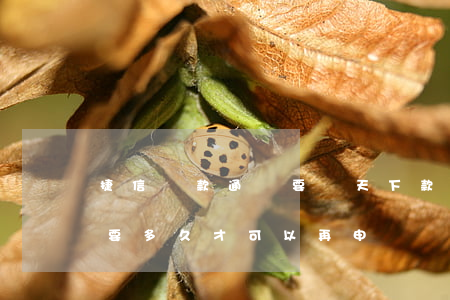 捷信貸款通過要幾天下款(捷信貸款被拒絕了要多久才可以再申請)