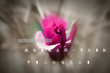 捷信貸款逾期一年后還款(捷信貸款逾期一年多還上征信怎么辦?)