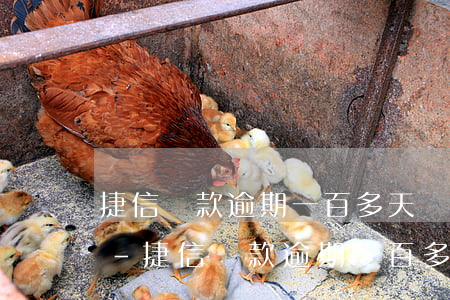 捷信貸款逾期一百多天會(huì)拘留嘛-捷信貸款逾期一百多天會(huì)拘留嘛知乎
