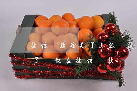 捷信貸款逾期了怎么還?(捷信逾期過但是還清了還能在捷信貸款嗎)