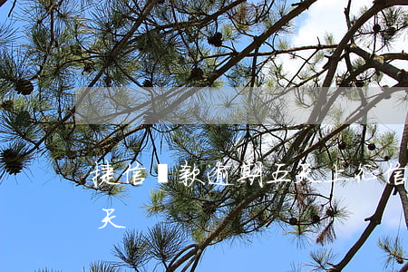 捷信貸款逾期五天上征信嗎（捷信貸款逾期五天）