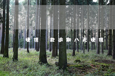 捷信貸款逾期八天(捷信貸款逾期八天)