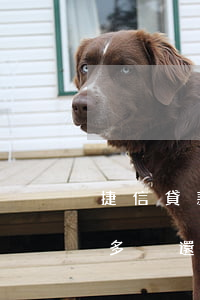 捷信貸款逾期半年多沒還(捷信貸款逾期半年多沒還)