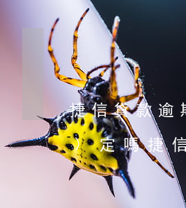 捷信貸款逾期多久會被起訴:有規(guī)定嗎?（捷信逾期什么時候起訴）
