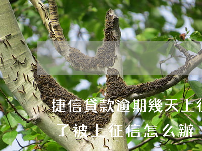 捷信貸款逾期幾天上征信(捷信貸款逾期三年了被上征信怎么辦)