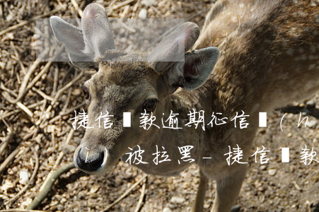 捷信貸款逾期征信會(huì)不會(huì)被拉黑-捷信貸款逾期征信會(huì)不會(huì)被拉黑了
