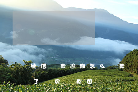 捷信貸款逾期怎么還款嗎(捷信貸款逾期還完了,買房貸款困難嗎)