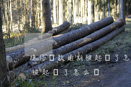 捷信貸款逾期被起訴了怎么辦(捷信貸款逾期被起訴了怎么辦)