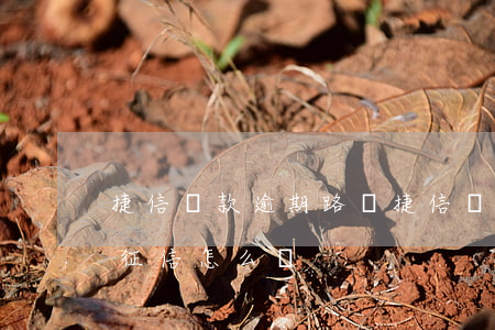 捷信貸款逾期路過(捷信貸款逾期三年了被上征信怎么辦)