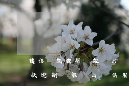 捷信貸款逾期還能辦出來信用卡么-捷信貸款逾期還能辦出來信用卡么嗎